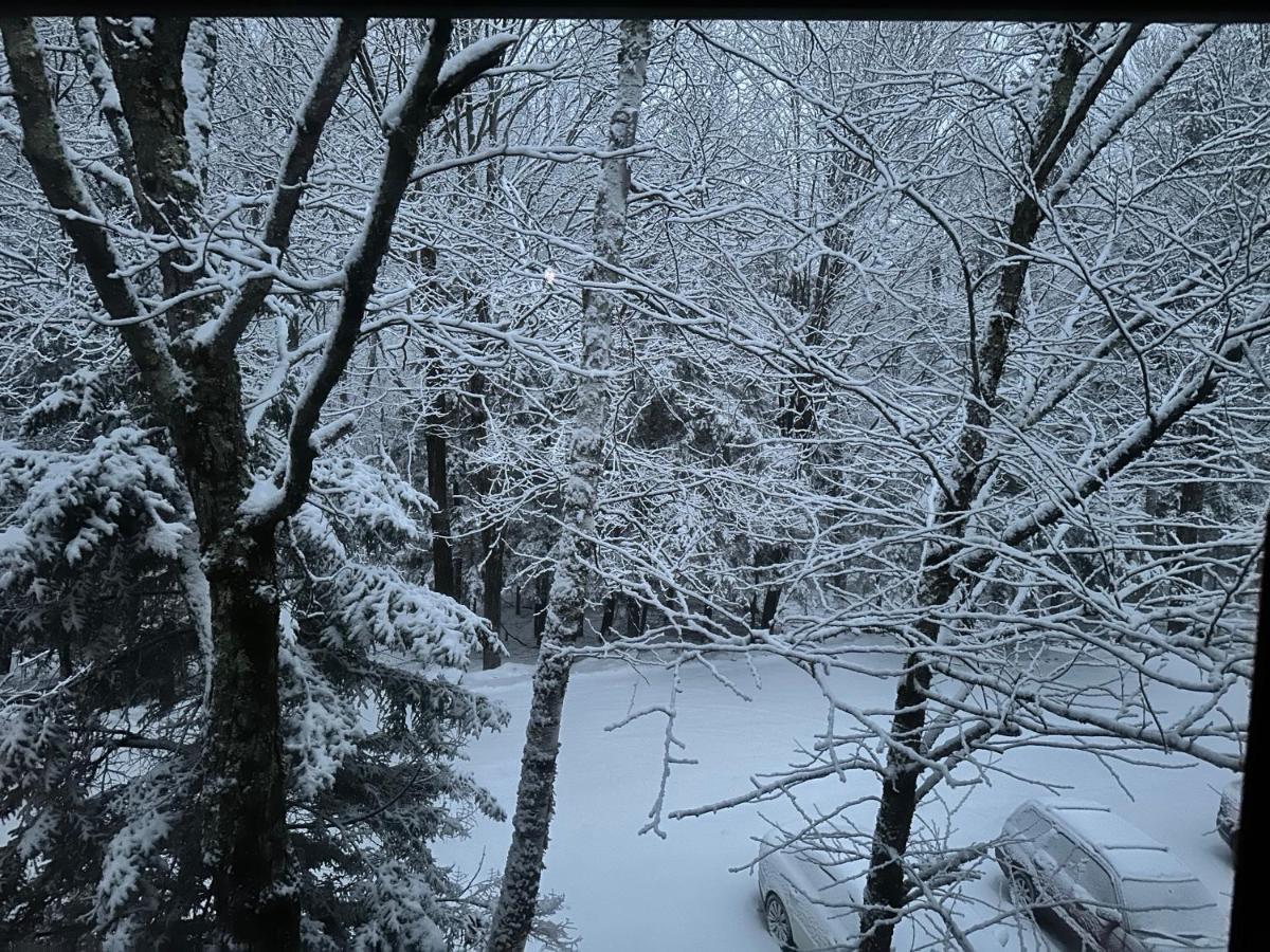 Vermont Getaway! Newly Renovated! Stratton Valley Buitenkant foto